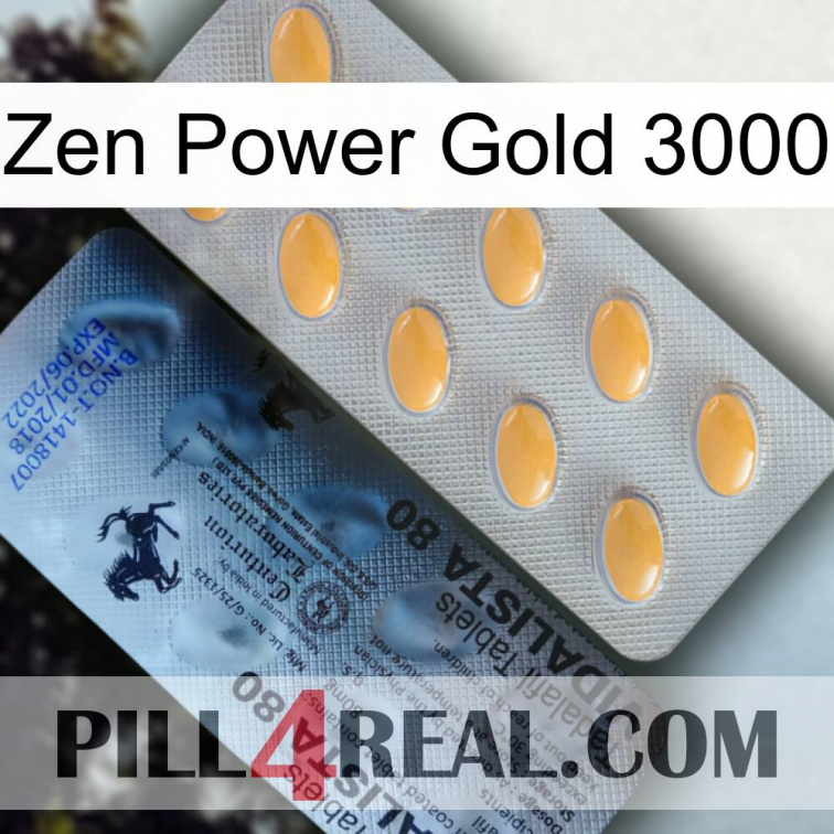 Zen Power Gold 3000 44